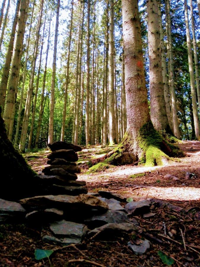 La Roche En Ardenne , Welcome Eksteriør bilde