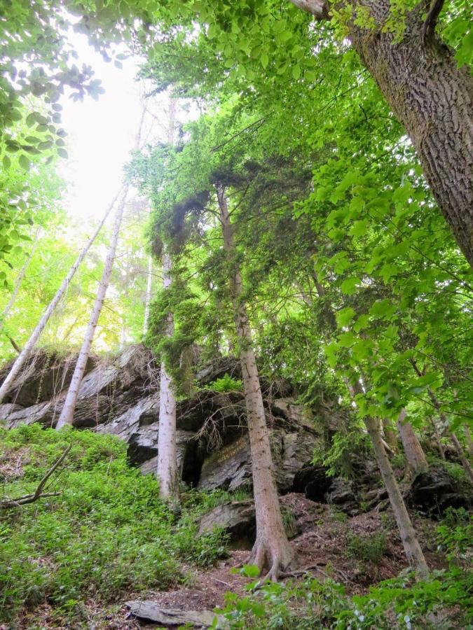 La Roche En Ardenne , Welcome Eksteriør bilde